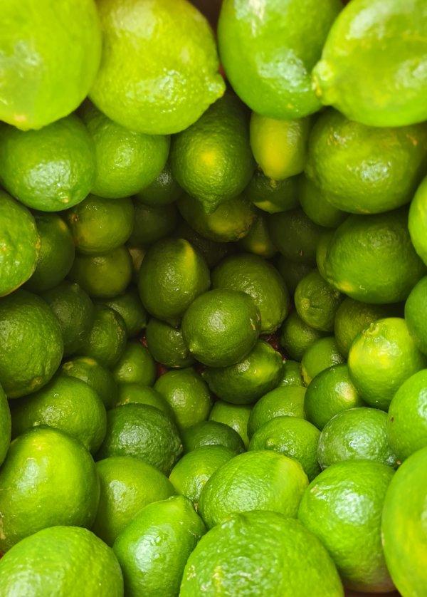 Citron lime de Tahiti greffés – p-pini-redelespoir (photo 3)