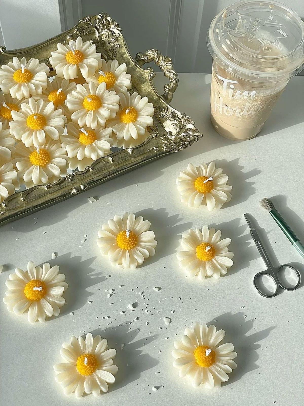 Marguerite Candle – Alavéacandle